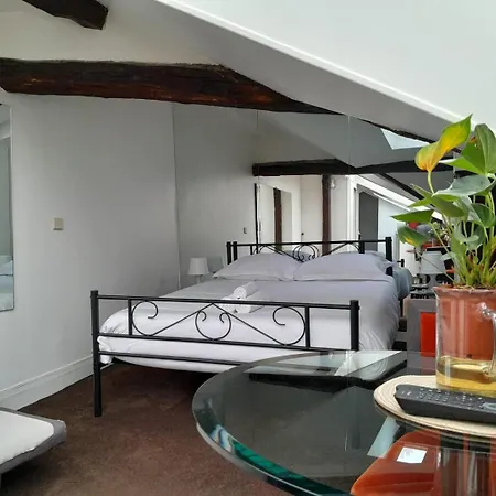 Apartment Le Singulier - Au Coeur De *